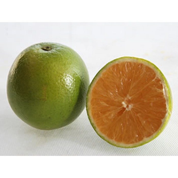 Laranja Lima Verde